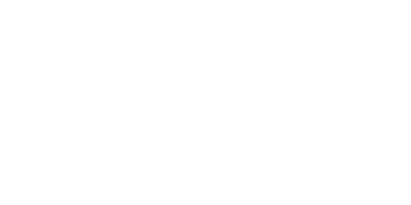 Stitch-bnpl